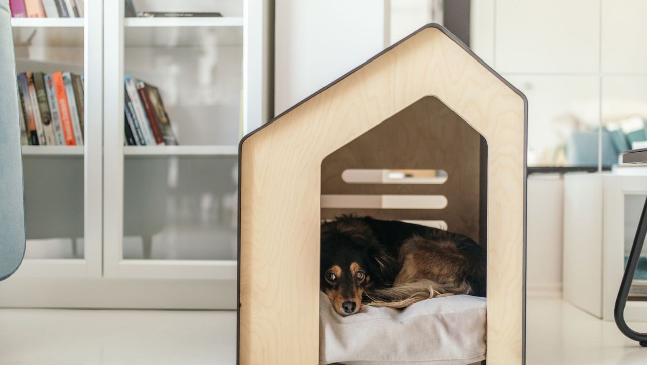 will igloo dog houses keep dogs warm