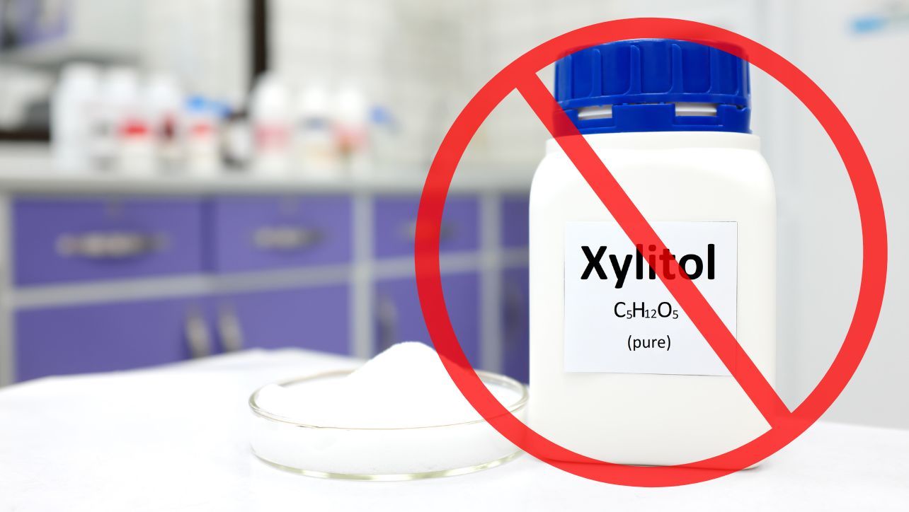 Xylitol Is Bad For Dogs