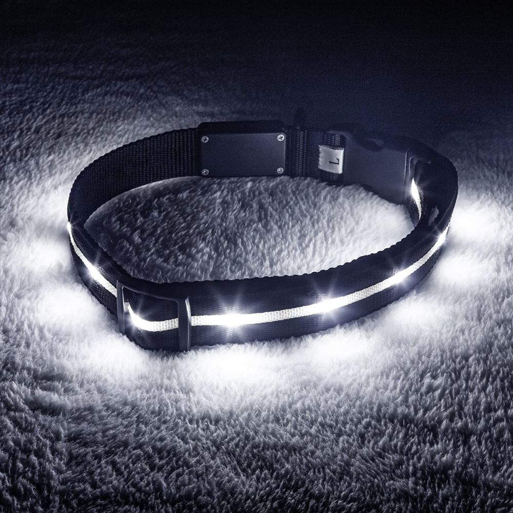 Shine On: The Ultimate Reflective Collars for Your Dog