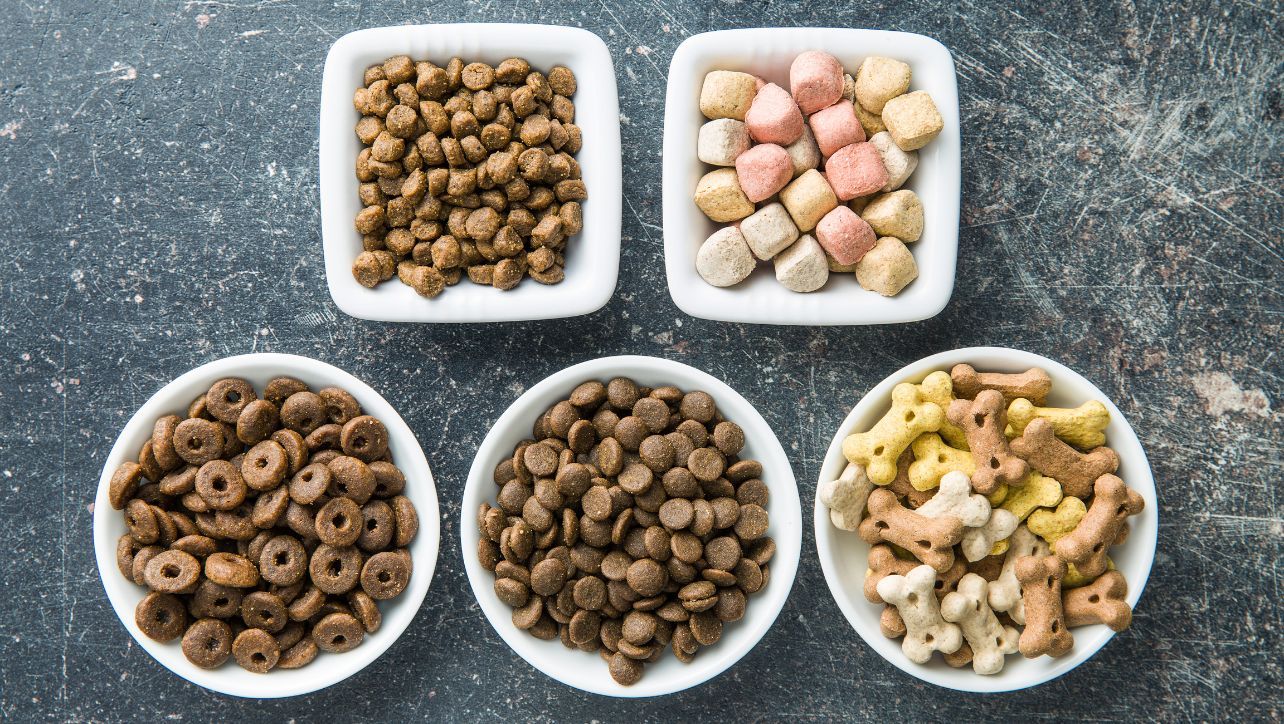 Different Types of Dog Foods