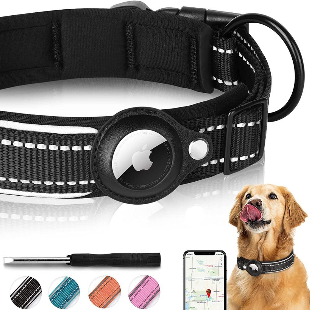 Shine On: The Ultimate Reflective Collars for Your Dog