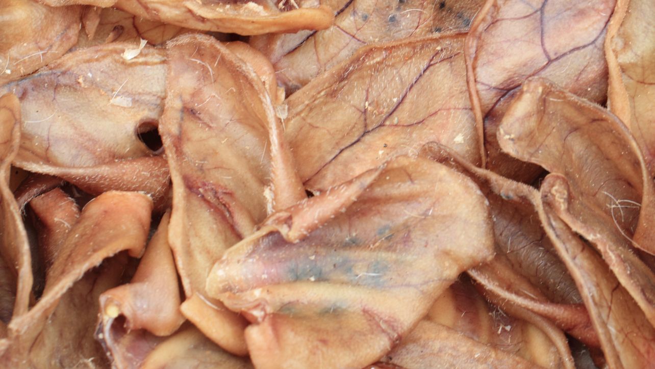 Best Pig Ears For Dogs